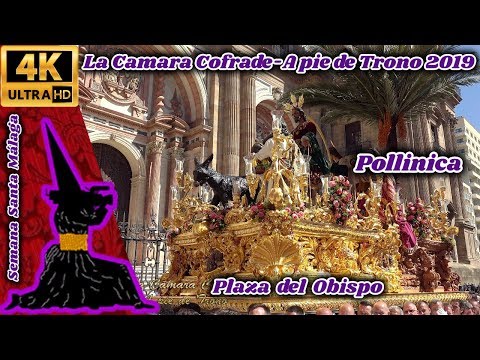 Real Cofradía de Nuestro Padre Jesús a su Entrada en Jerusalén y María Santísima del Amparo