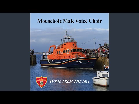 Till The Stars Fall From The Sky