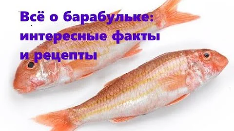 Барабулька: интересные факты и рецепты