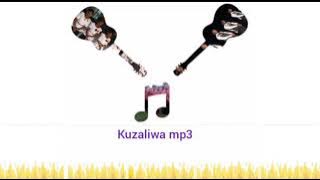 NEGRO CHOIR_KUZALIWA_AUDIO 2006