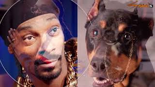 shuhudia jinsi Dunia ilivyobeba sayari tisa/Snoop dog ajifananisha na mbwa.