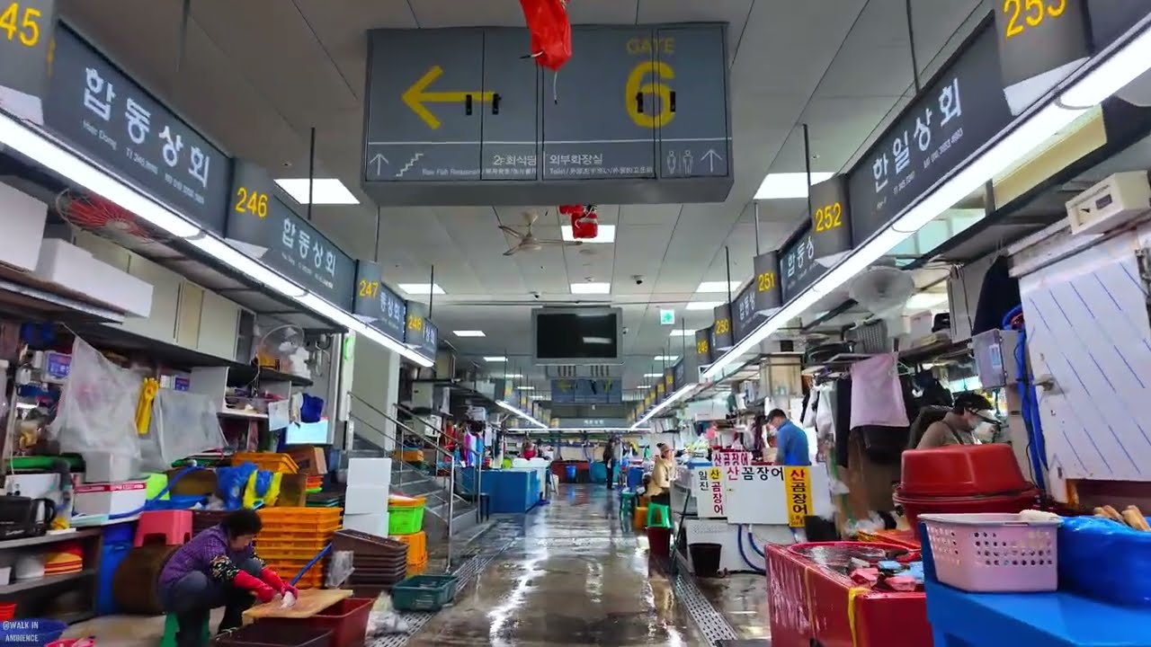 jagalchi Market: Busan’s Iconic Fish Market | jagalchi Market: Pasar Ikan Ikonik Busan