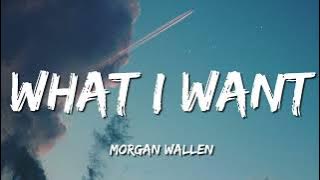 Download lagu Morgan Wallen - What I Want (feat. Tate McRae) (Lyric Video)