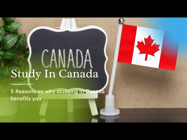 Study in Canada | 5 Reasons on how studying in Canada benefits you | Dr. Neva