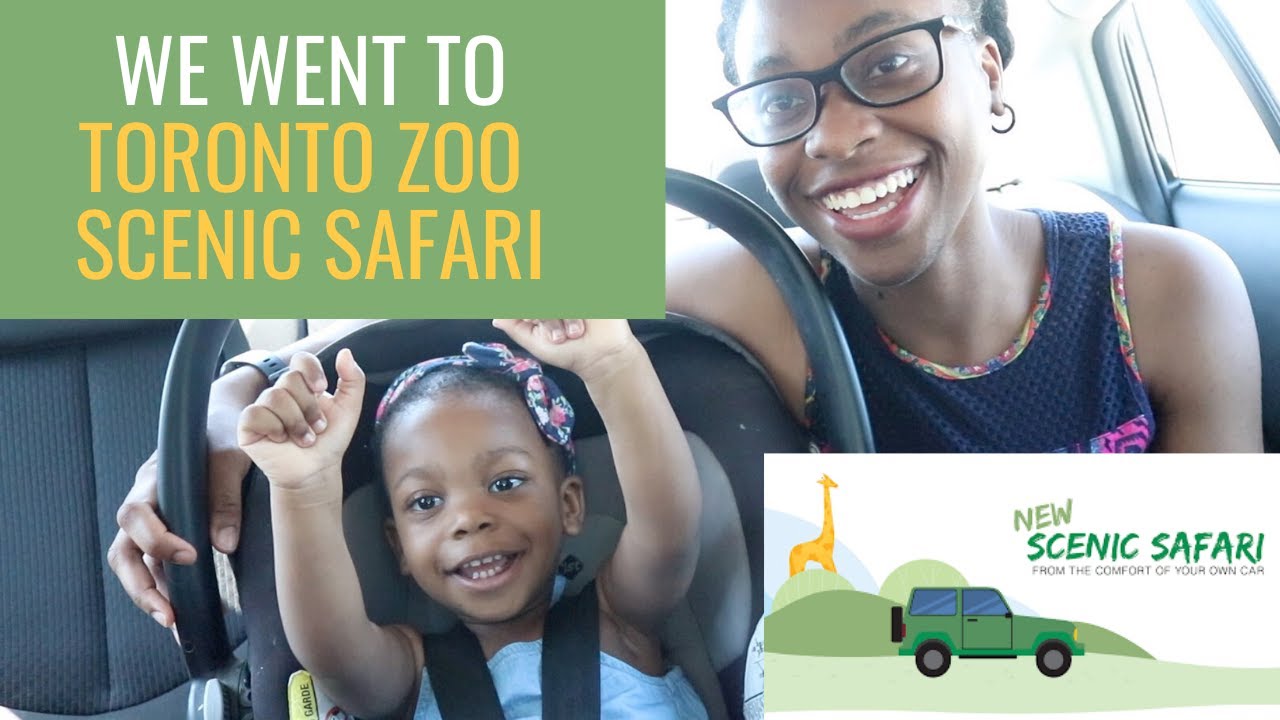 We went to Toronto Zoo Scenic Safari Drive Thru Zoo! - Was it worth it? - Tour and Review