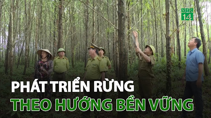 Phát triển rừng bền vững là gì