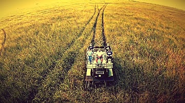 Everglades Buggy Ride