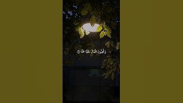 سورة الفجر من ١٥ _ ٢٢ #quran #قرآن #فلسطين #صلوا_على_النبي