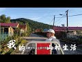 从城市来到山村,丢弃的是无聊和喧嚣,得到的是健康和果实!