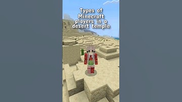 Types of Minecraft players in a desert temple!