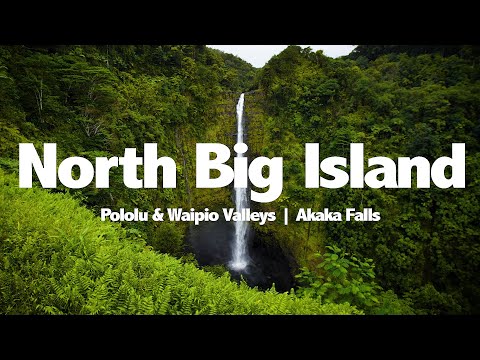 Vídeo: Parc estatal d'Akaka Falls: La guia completa