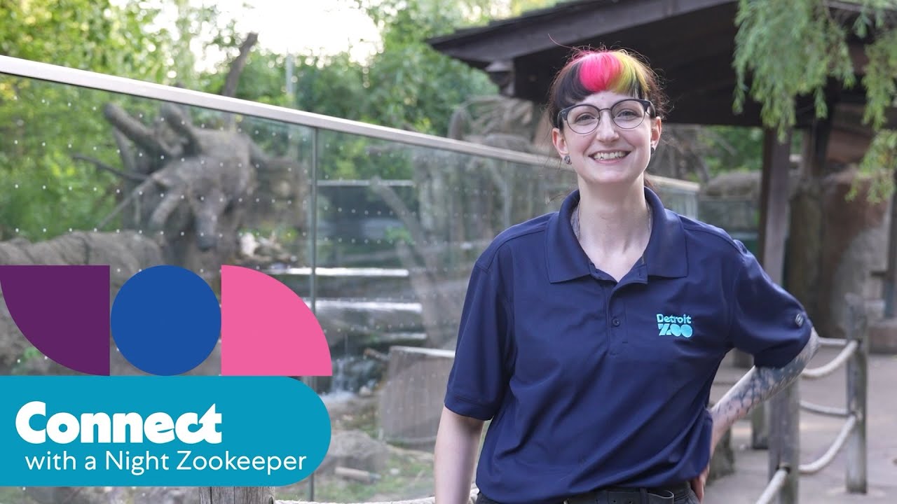Detroit Zoo | Connect with a Night Zookeeper