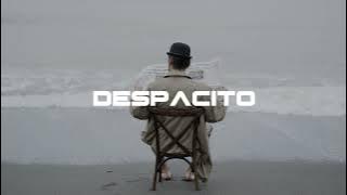 DJ SLOW MASHUP DESPACITO X ALIVE X APOLLO REMIX