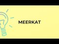 What is the meaning of the word MEERKAT?