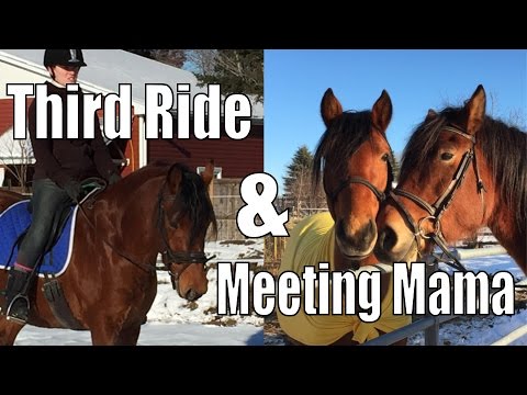 horseshoe bend 3rd Ride and cuddles with Mama - Rescued Horse