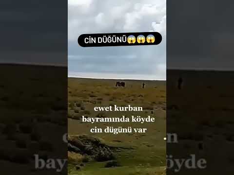 Cin Düğünü 😱