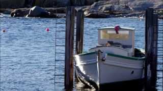 Bicheno slip closes