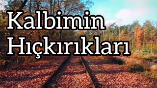 F. Semih Çetin ~ Kalbimin Hıçkırıkları Resimi