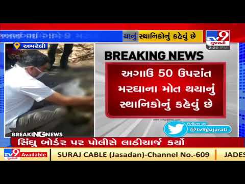 9 birds found dead at Khakhbai village of Amreli | TV9News