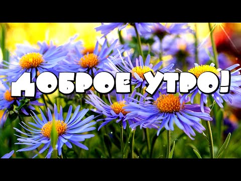 Доброе утро! Осень улыбается глазами сентябринок! Красивая музыкальная открытка С Добрым утром