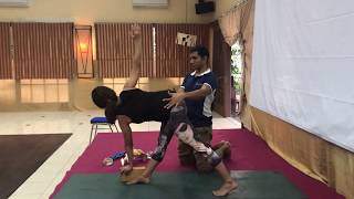 Celebrity Revolved Triangle pose (Parivratta Trikonasana) Internal or External rotation for modern Yogis ? Profile