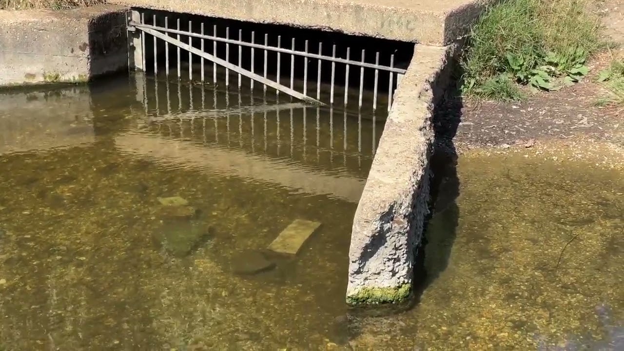 Hanworth Air Park in summer