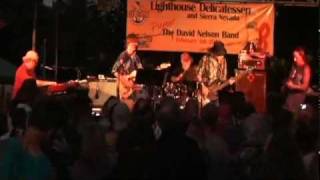 Video thumbnail of "David Nelson Band - Last Frontier"