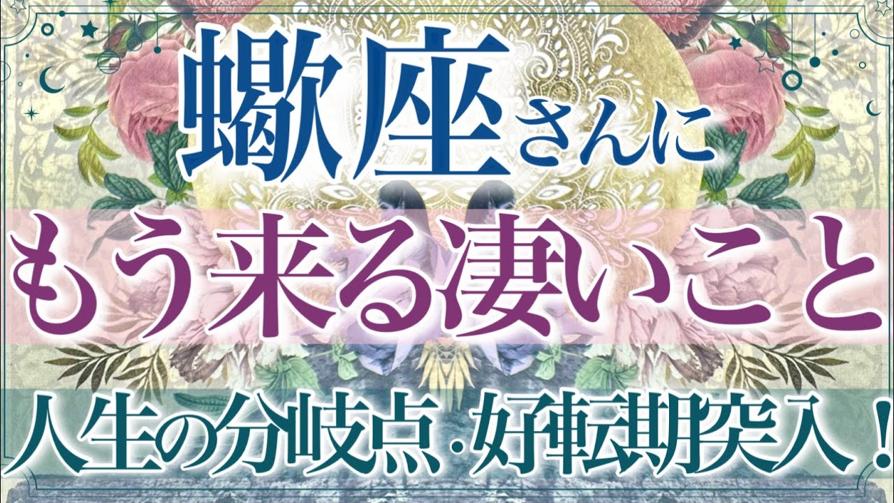 【さそり座さん🌙】🔮もう来る凄いこと👏✨もう大丈夫です‼️運命はしっかりと好転していきます‼️チャンスを掴みワンランク上のステージへ✨‼️【タロット・ルノルマン・オラクルカード占い】