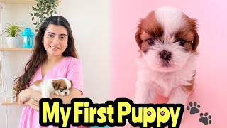 Meet Our New Puppy | Shih Tzu First Day At Home | Cutest Shih Tzu Puppy | Yashita Rai