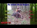 | CHASSE en Haute Marne ferme sangliers | Battue au bois | 2019