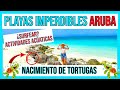 🏖️🌊🌴Las MEJORES PLAYAS de ARUBA (Guía Completa) 🏖️🌊🌴