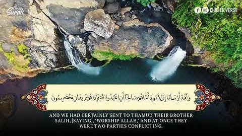 #كل_يوم_سورة #Everydaysurah #Quran| سورة النمل | بصوت القارئ معاذ العيد