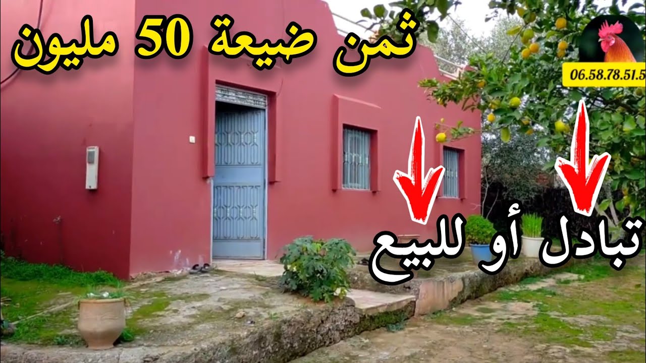 ثم للبيع 🚫 فيرمة محفظة نواحي مدينة خميسات للبيع او لي تبادل بي شقة 