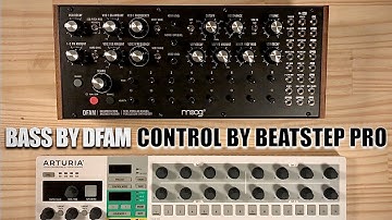Bass by DFAM | Control by Beatstep Pro
