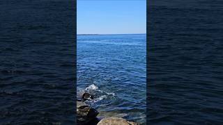 A beautiful day in Winchester bay. #ocean #oceanwaves #pnw #oregon #oceanlife #beach #nature #asmr