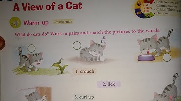 poem - A View of a Cat (full explanation of poem and question and answers)