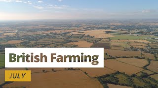 British Farming | 12 Months On A UK Farm: July