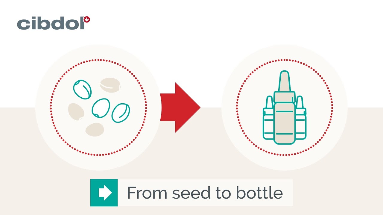 Cibdol CBD - From seed to bottle