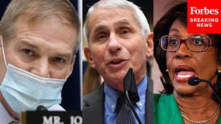 Viral Moment: Jim Jordan, Dr. Fauci Exchange Leads to Shouting Match Involving Maxine Waters