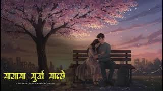 मायामा मुर्ख मान्छे - New Story -Saigrace Storytelling