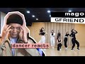 Dancer Reacts to #GFRIEND - MAGO Dance Practice