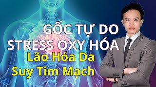 GỐC TỰ DO - OXY HÓA gây bệnh tim mạch và lão hóa da - cơ chế tác hại của gốc tự do oxy hoạt tính