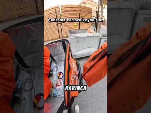 Bu kadar kalpsiz