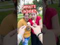 Egg Trick Surprise 