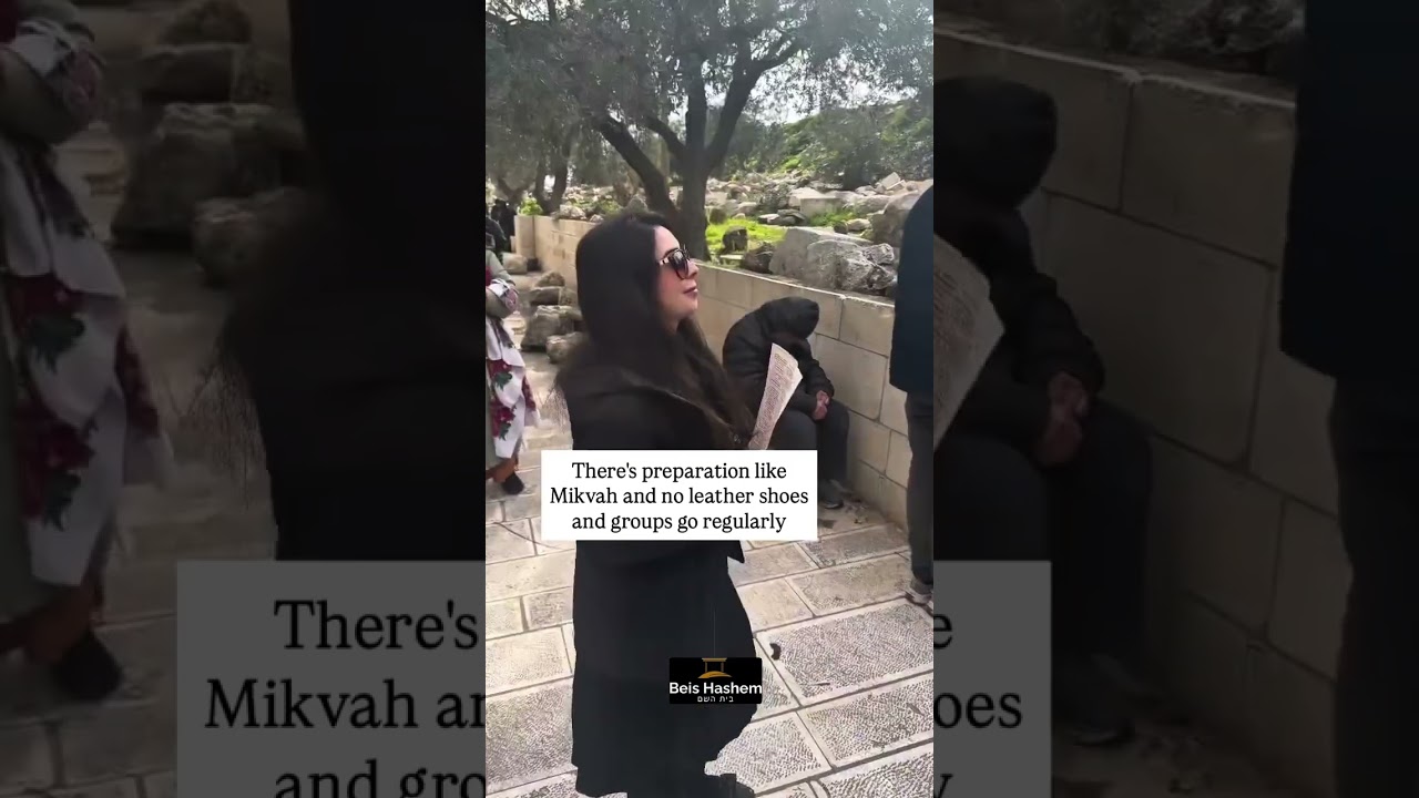 @FlatbushGirl1 покоряет Хар ХаБайис 💪🏻🇮🇱 