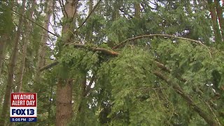 Most homeowners have power back in Edmonds | FOX 13 Seattle