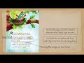 Little Flap Learns to Fly Quiz
