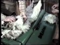 Moffatt Shearing Table.wmv