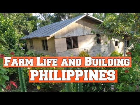 BUILDING A HOUSE/ FARM LIFE IN PHILIPPINES #philippines #retirement # ...