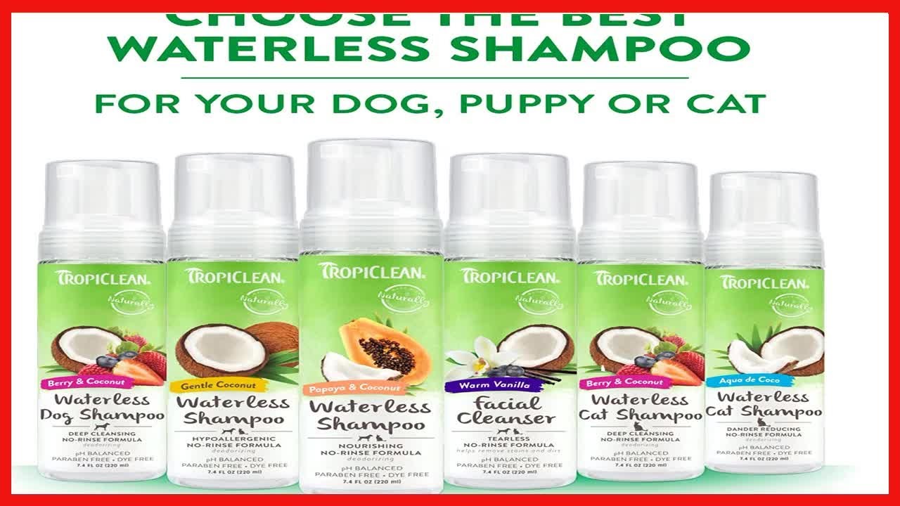 Quality product -  TropiClean Deep Cleansing Waterless Shampoo for Dogs, 7.4oz